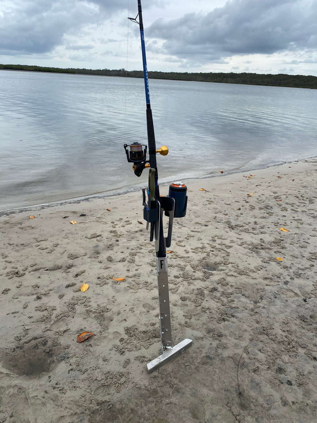 FL Sand Spike image 5