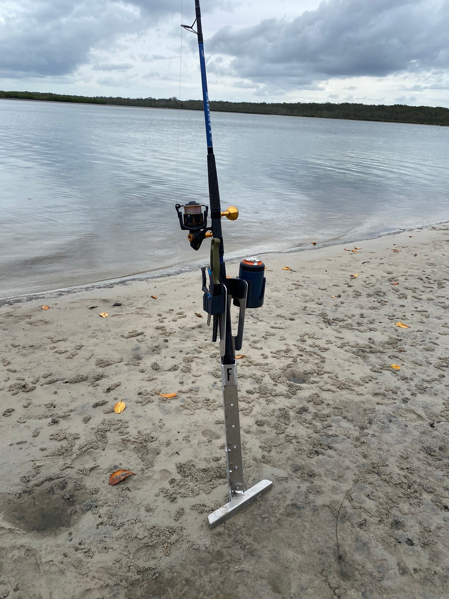 FL Sand Spike image 5