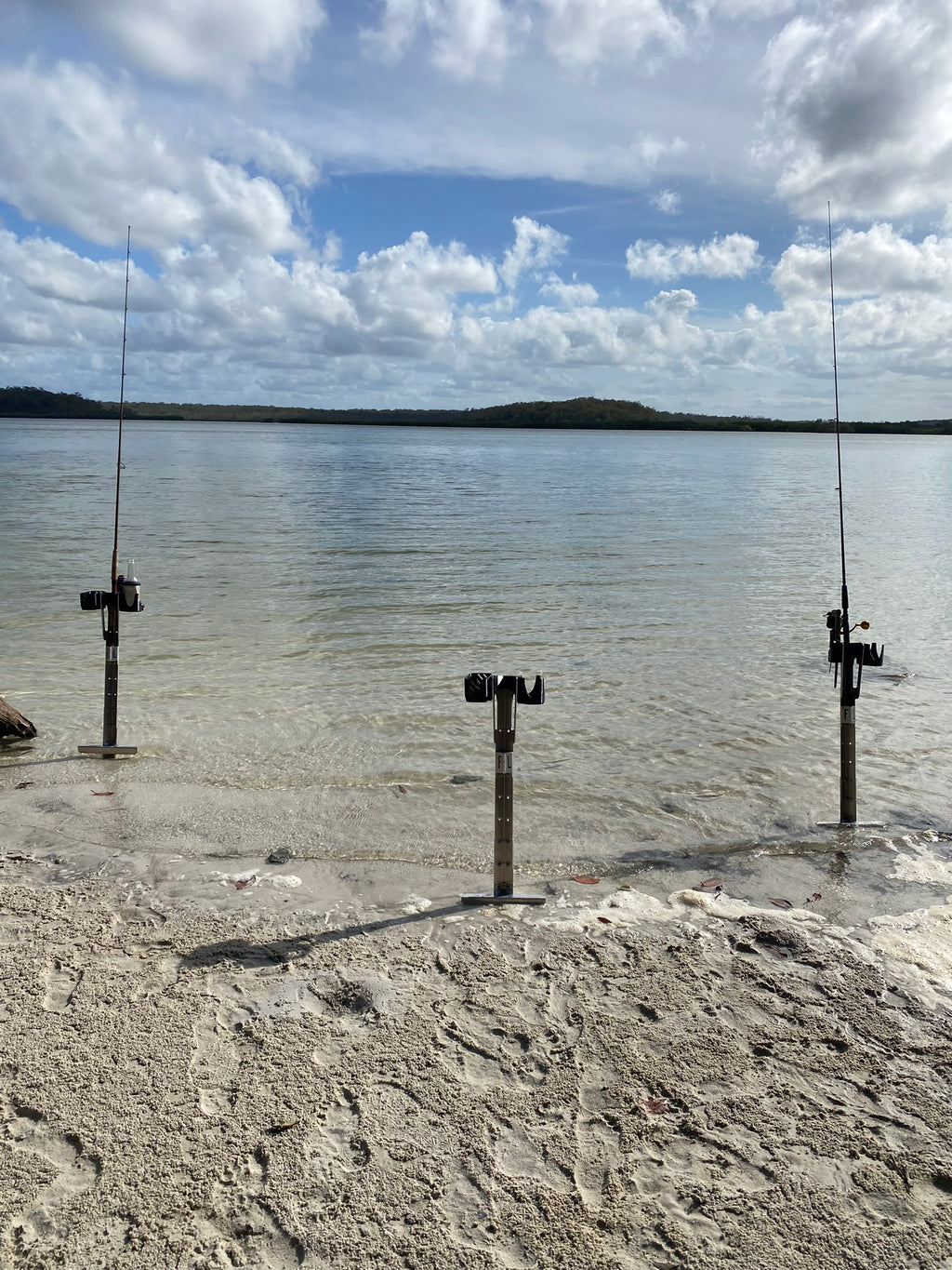 FL Sand Spike image 7