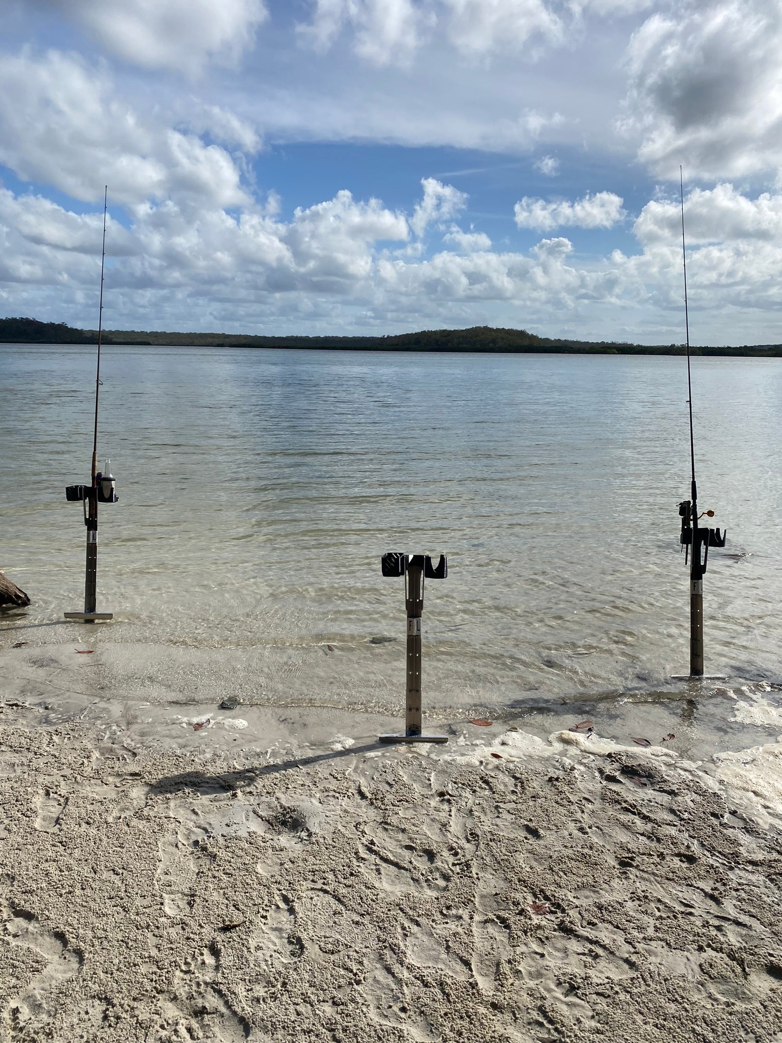 FL Sand Spike image 7