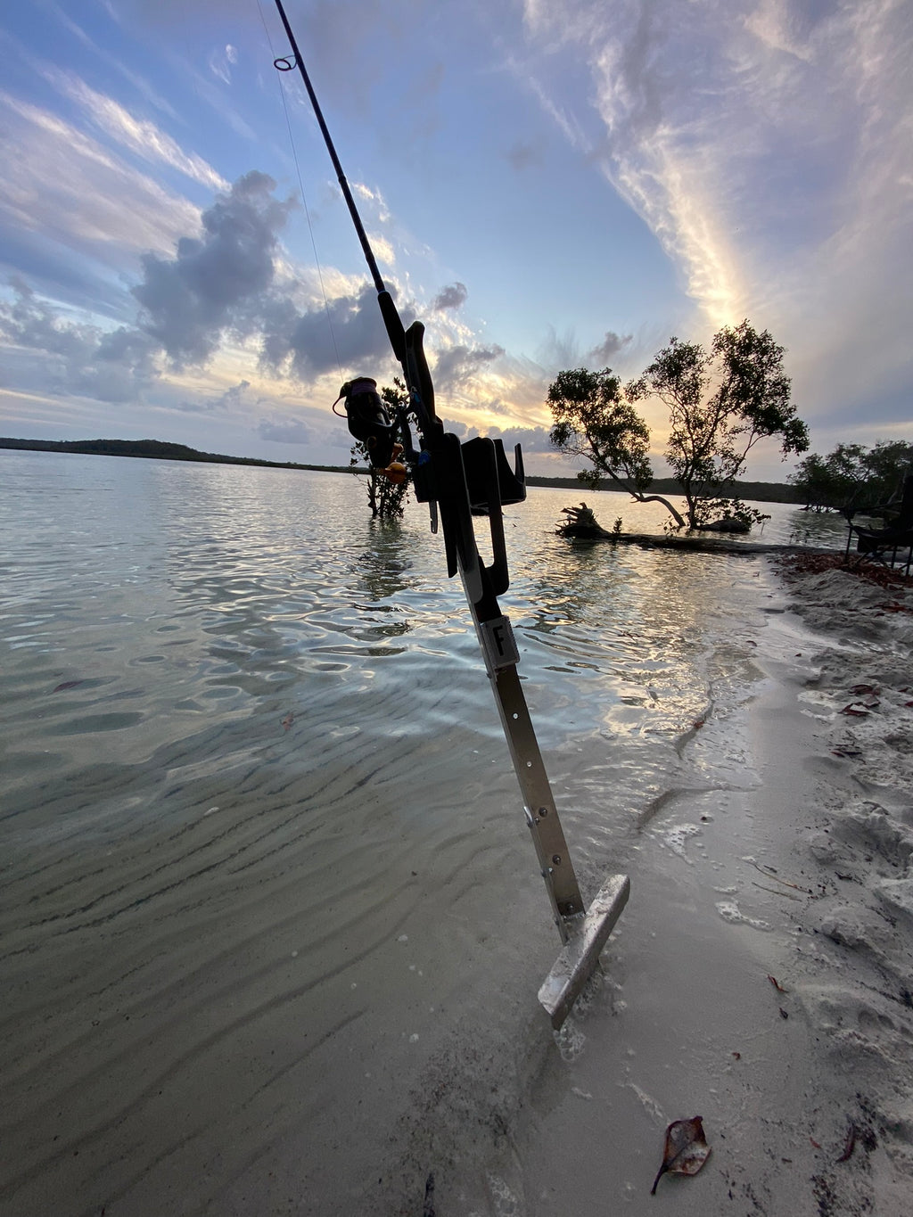 FL Sand Spike image 6