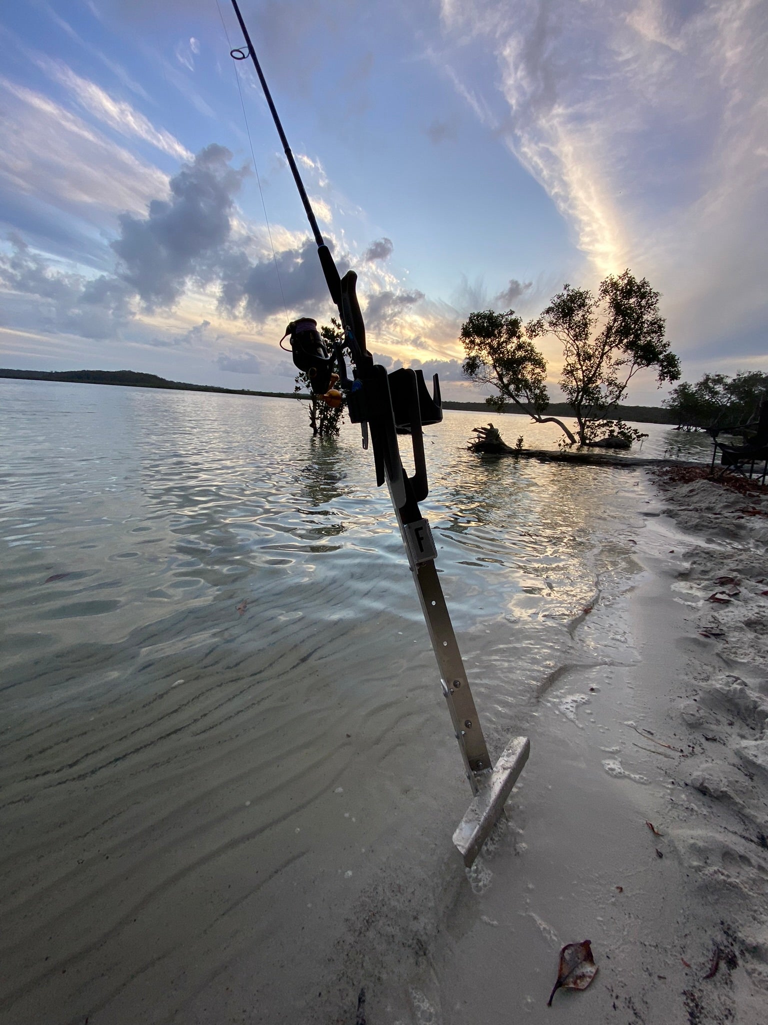 FL Sand Spike image 6